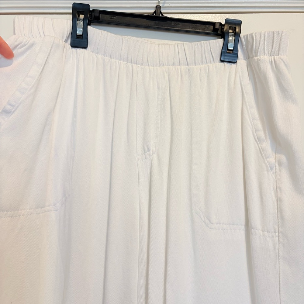 Splendid Casual Pants | size L - Picture 3 of 7